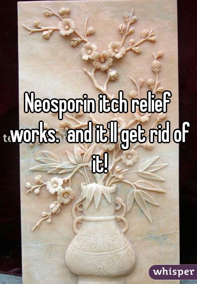 Neosporin itch relief works.  and it'll get rid of it!