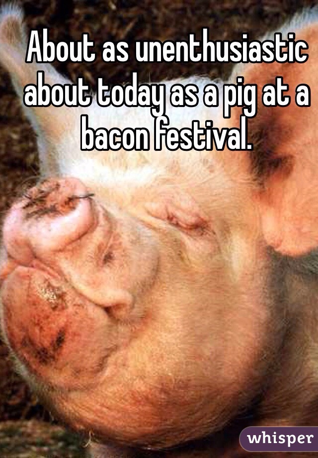 About as unenthusiastic about today as a pig at a bacon festival.