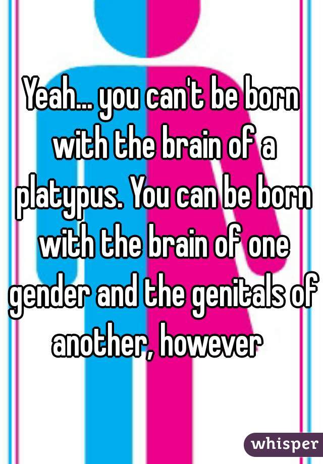 Yeah... you can't be born with the brain of a platypus. You can be born with the brain of one gender and the genitals of another, however  