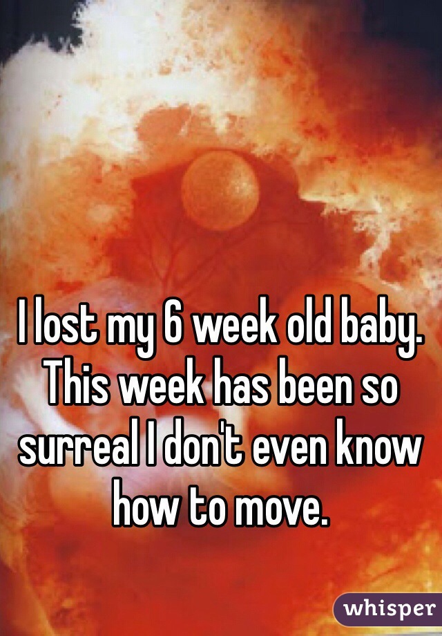 I lost my 6 week old baby. This week has been so surreal I don't even know how to move.