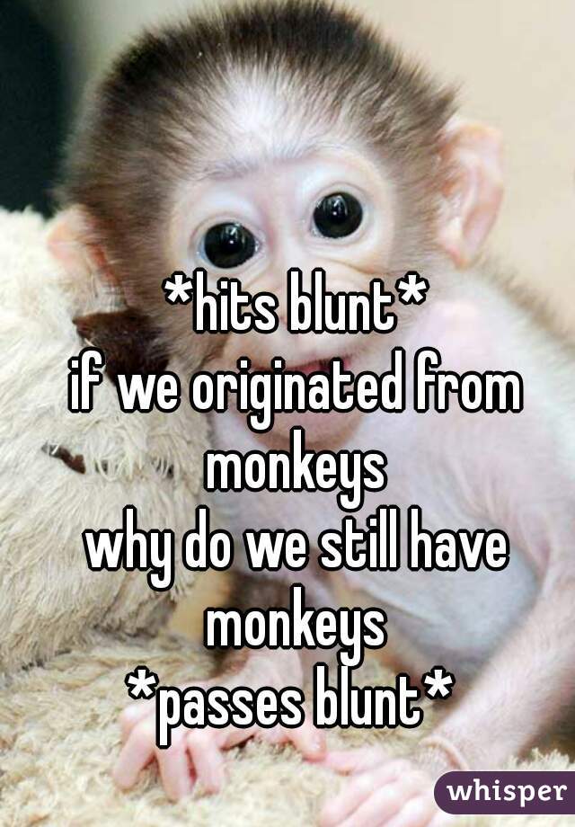 *hits blunt*
if we originated from monkeys 
why do we still have monkeys 
*passes blunt* 