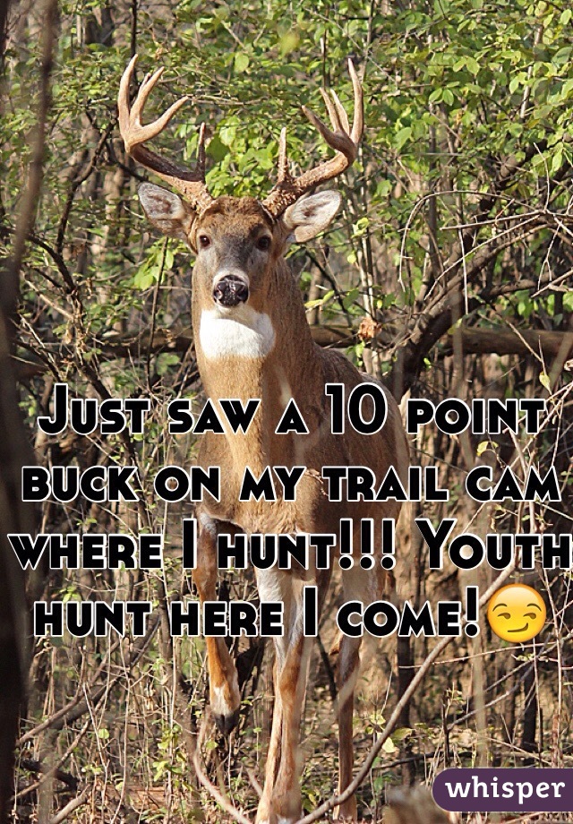 Just saw a 10 point buck on my trail cam where I hunt!!! Youth hunt here I come!😏