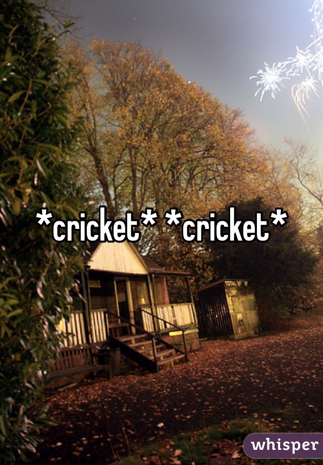 *cricket* *cricket*