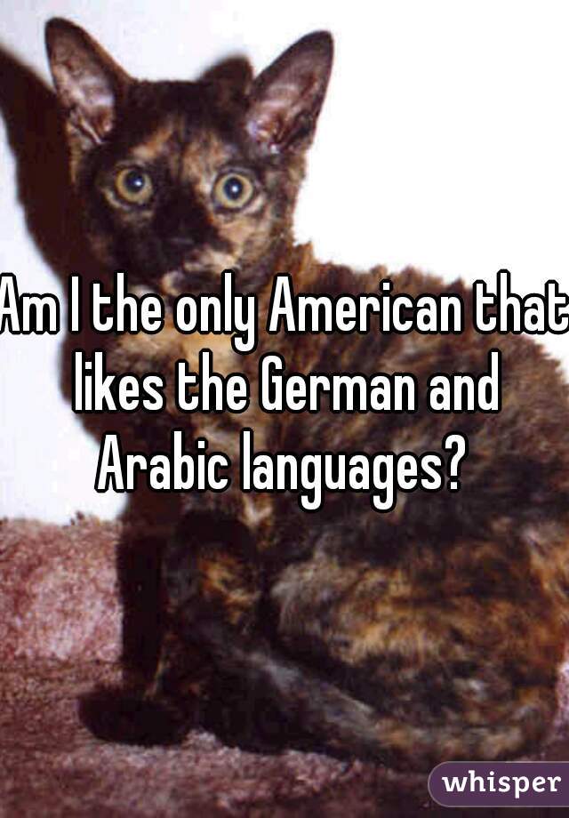 Am I the only American that likes the German and Arabic languages? 