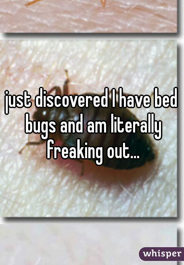 just discovered I have bed bugs and am literally freaking out...