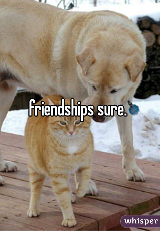 friendships sure. 