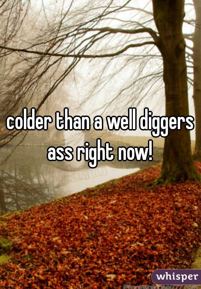 colder than a well diggers ass right now! 