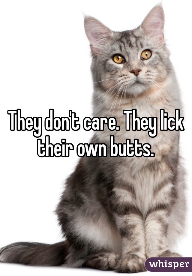 They don't care. They lick their own butts.