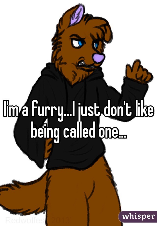I'm a furry...I just don't like being called one...