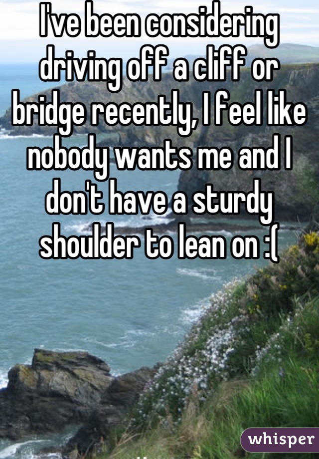 I've been considering driving off a cliff or bridge recently, I feel like nobody wants me and I don't have a sturdy shoulder to lean on :(