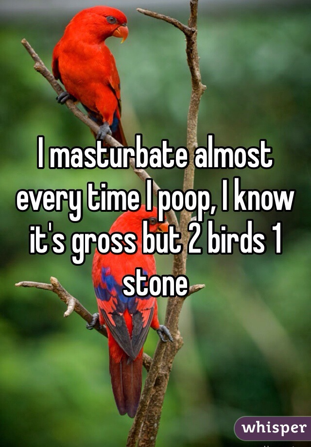 I masturbate almost every time I poop, I know it's gross but 2 birds 1 stone