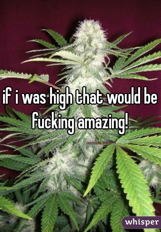 if i was high that would be fucking amazing! 