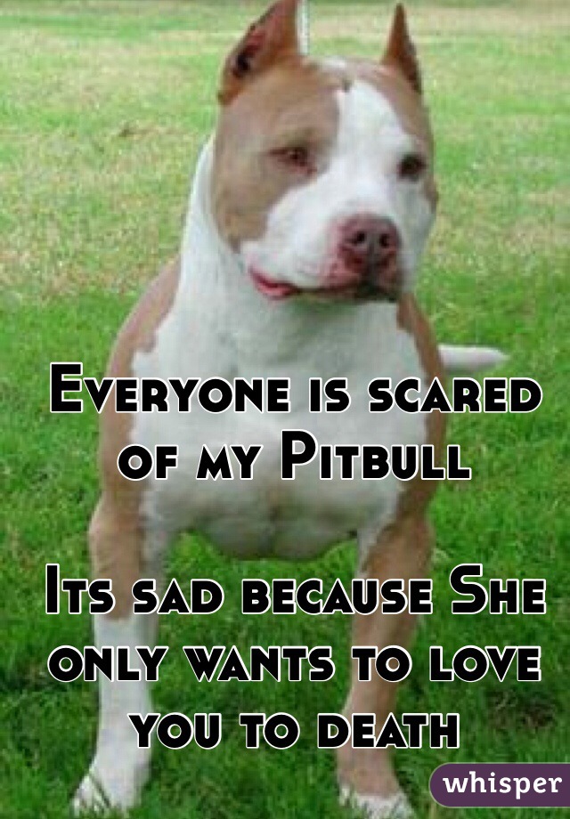 Everyone is scared of my Pitbull

Its sad because She only wants to love you to death