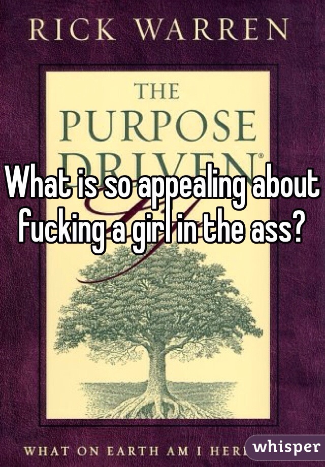 What is so appealing about fucking a girl in the ass?