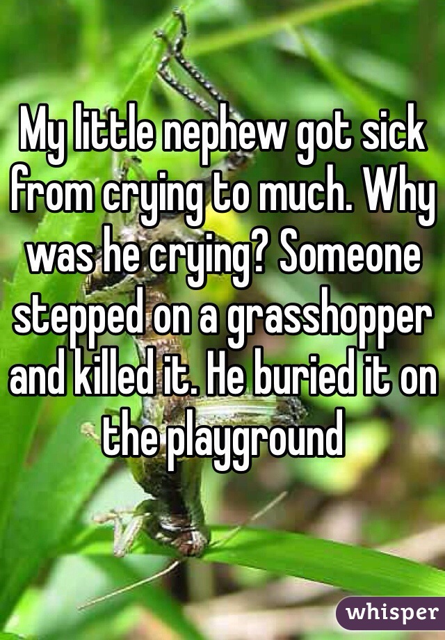 My little nephew got sick from crying to much. Why was he crying? Someone stepped on a grasshopper and killed it. He buried it on the playground 