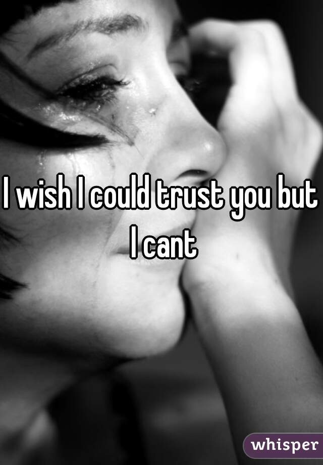 I wish I could trust you but I cant