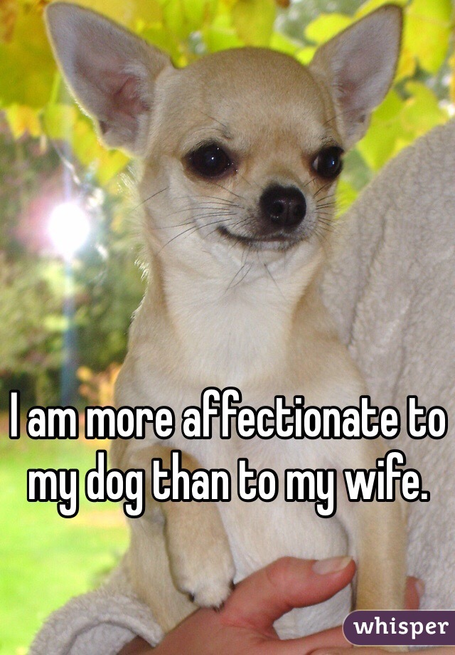 I am more affectionate to my dog than to my wife. 