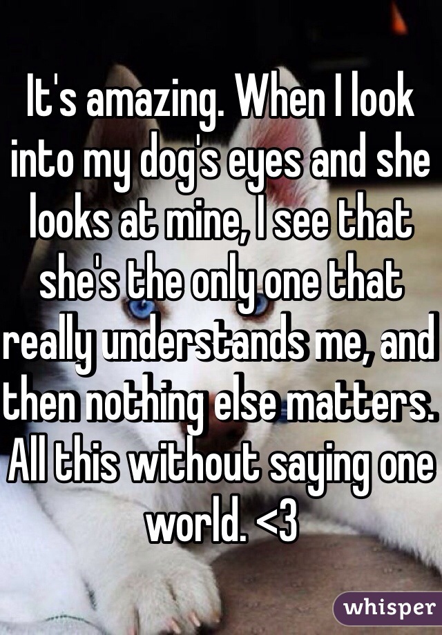 It's amazing. When I look into my dog's eyes and she looks at mine, I see that she's the only one that really understands me, and then nothing else matters. All this without saying one world. <3