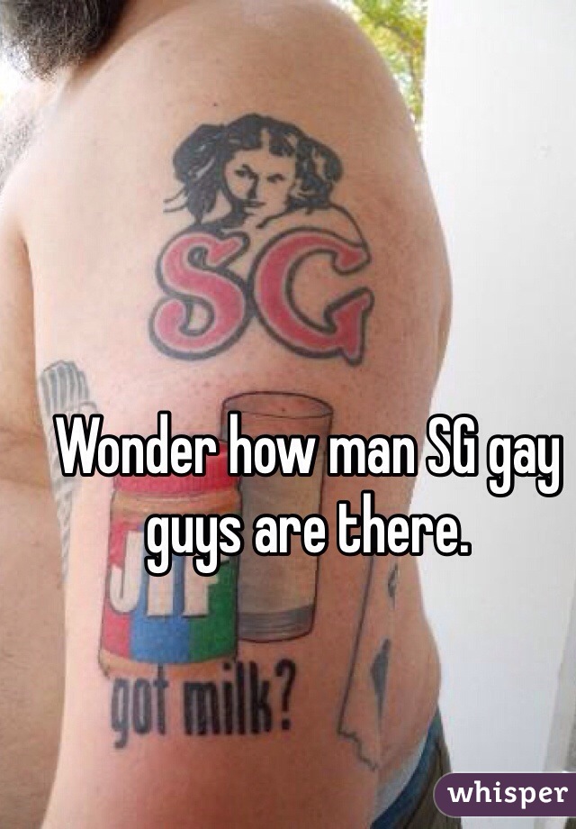 Wonder how man SG gay guys are there. 
