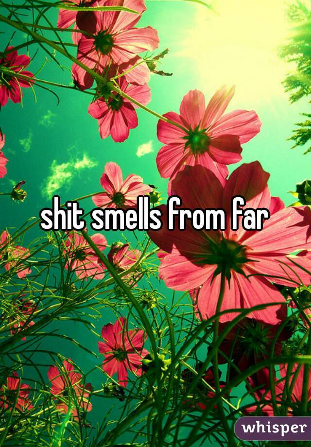 shit smells from far