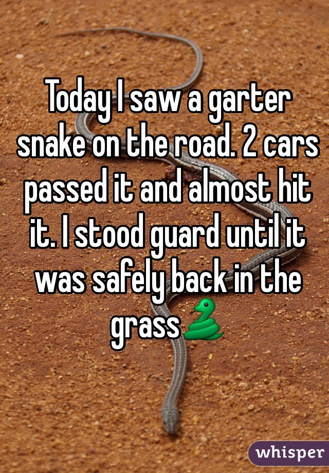 Today I saw a garter snake on the road. 2 cars passed it and almost hit it. I stood guard until it was safely back in the grass🐍