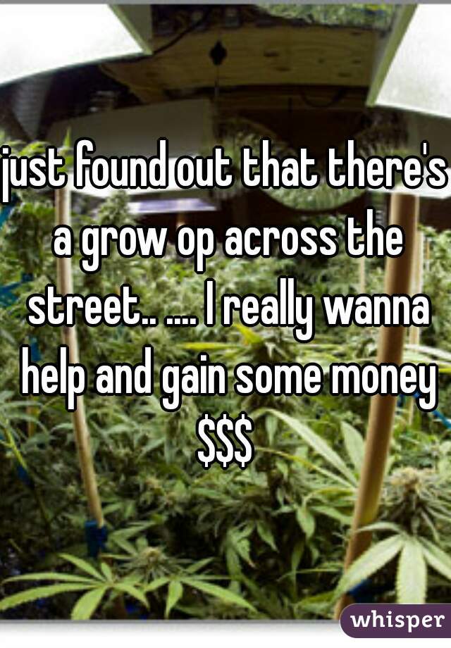 just found out that there's a grow op across the street.. .... I really wanna help and gain some money $$$ 