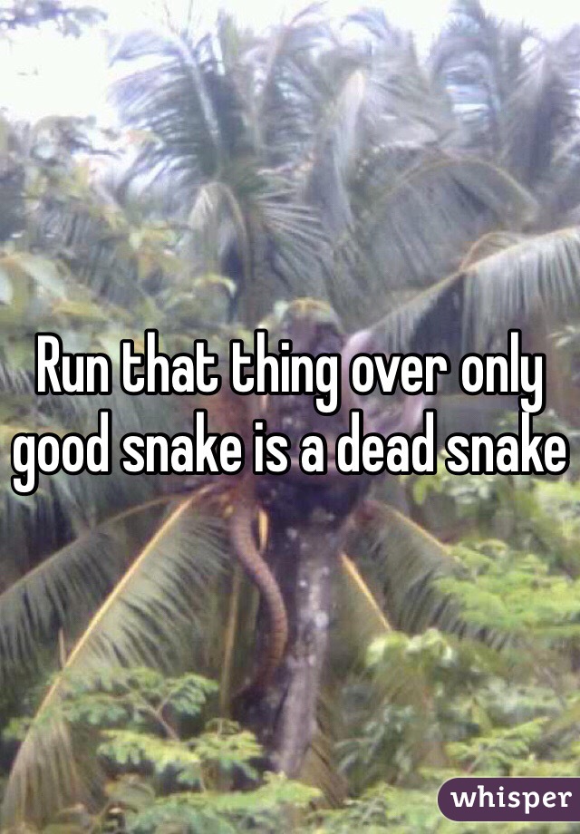 Run that thing over only good snake is a dead snake 
