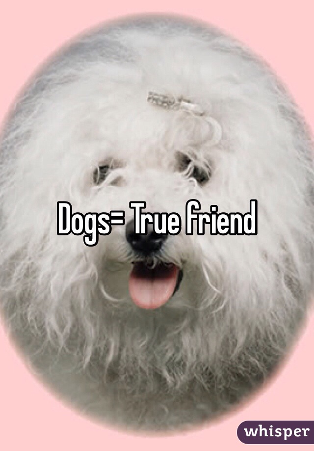 Dogs= True friend