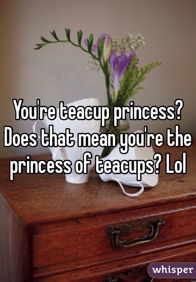 You're teacup princess? Does that mean you're the princess of teacups? Lol
