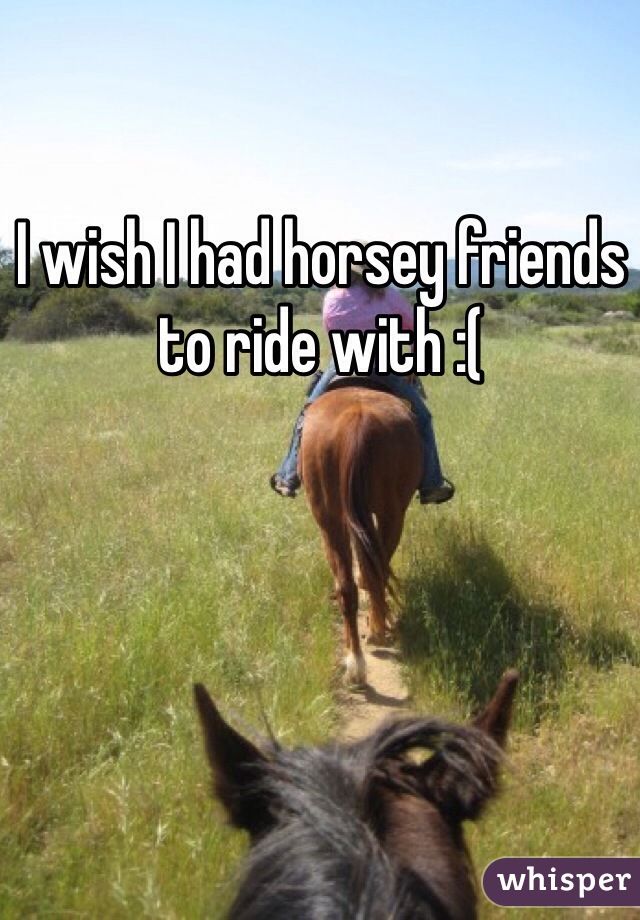 I wish I had horsey friends to ride with :(