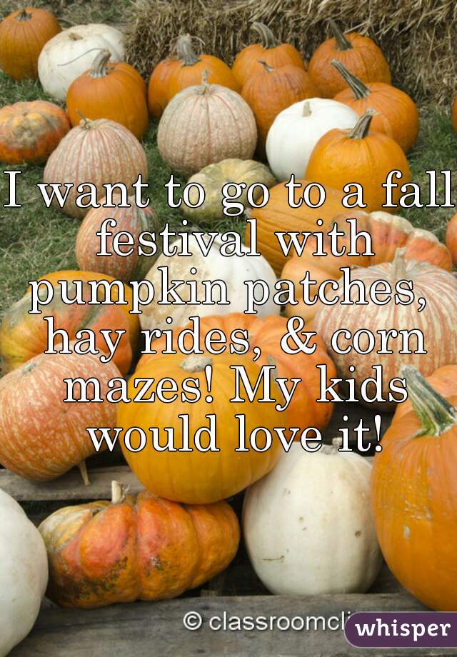 I want to go to a fall festival with pumpkin patches,  hay rides, & corn mazes! My kids would love it!