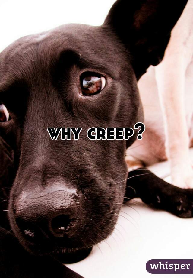 why creep?