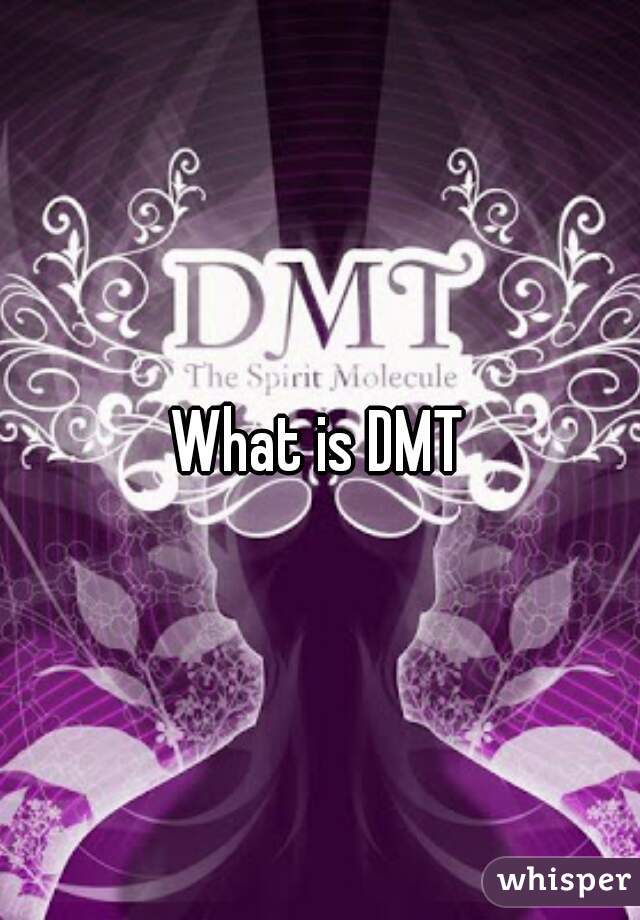 What is DMT