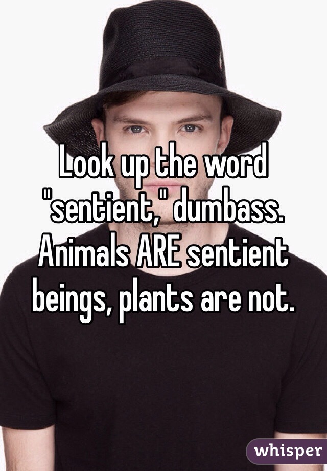 Look up the word "sentient," dumbass. Animals ARE sentient beings, plants are not. 