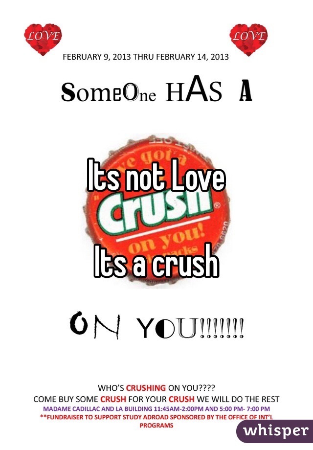 Its not Love

Its a crush