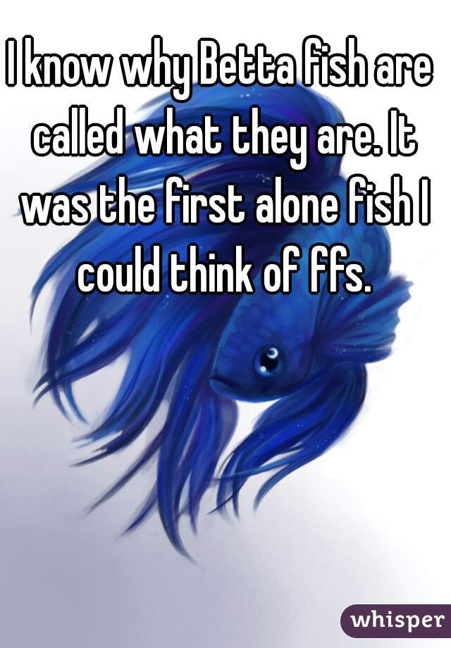 I know why Betta fish are called what they are. It was the first alone fish I could think of ffs.
