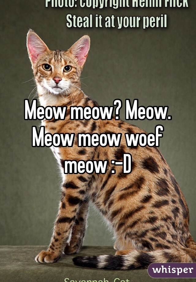 Meow meow? Meow. Meow meow woef meow :-D
