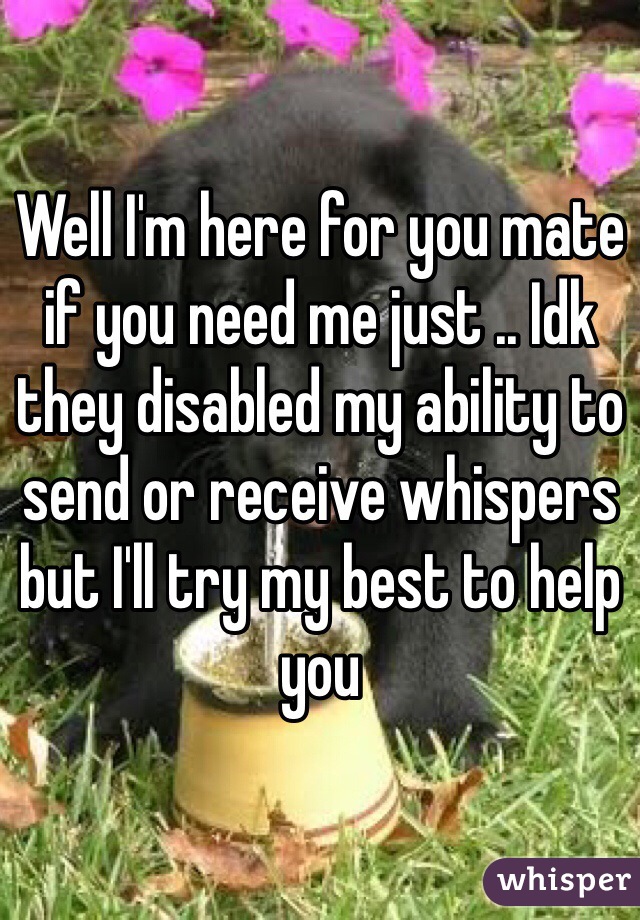 Well I'm here for you mate if you need me just .. Idk they disabled my ability to send or receive whispers but I'll try my best to help you