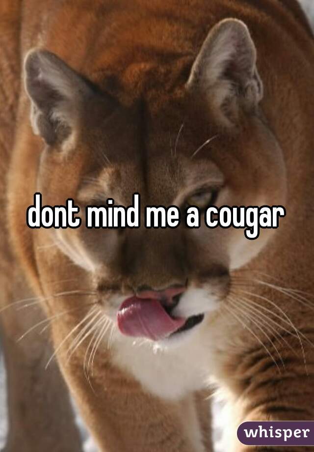 dont mind me a cougar