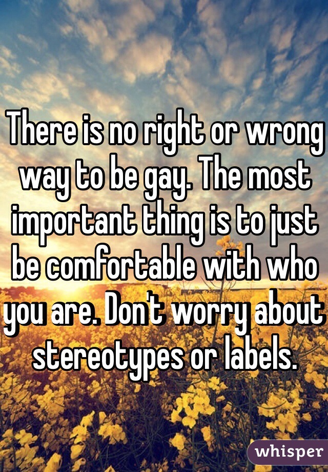 There is no right or wrong way to be gay. The most important thing is to just be comfortable with who you are. Don't worry about stereotypes or labels.