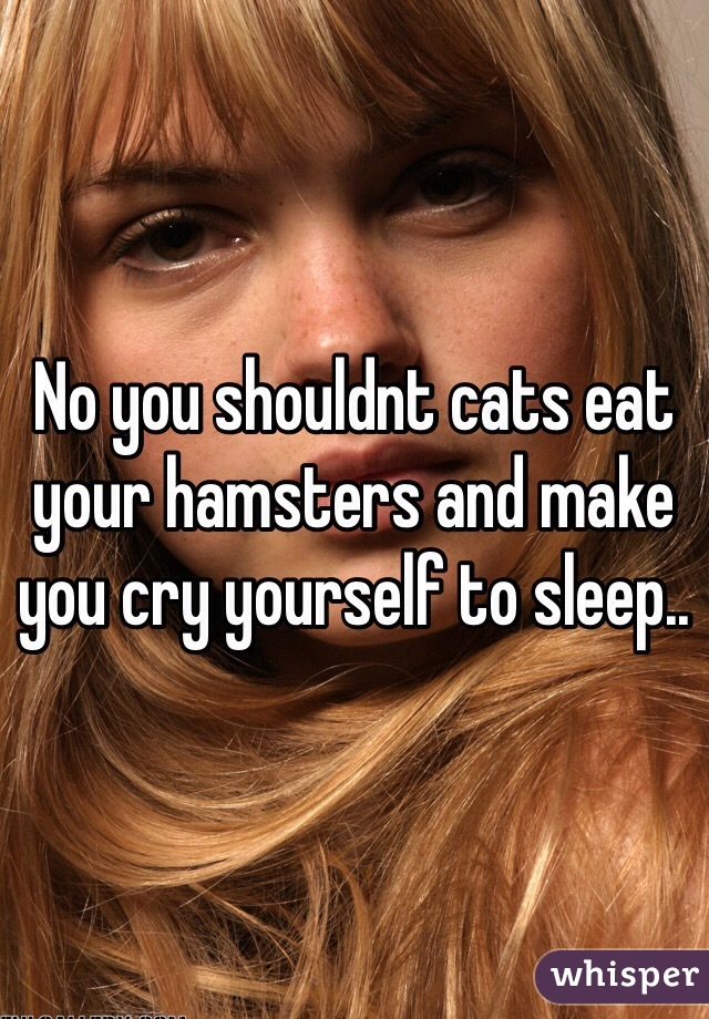 No you shouldnt cats eat your hamsters and make you cry yourself to sleep.. 