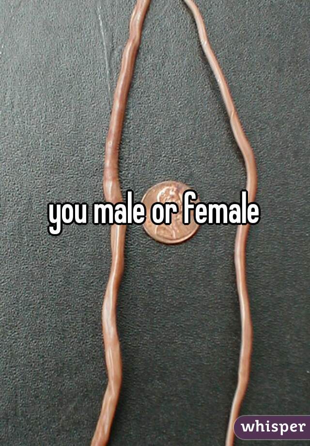 you male or female