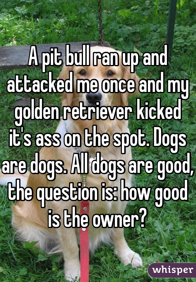 A pit bull ran up and attacked me once and my golden retriever kicked it's ass on the spot. Dogs are dogs. All dogs are good, the question is: how good is the owner?