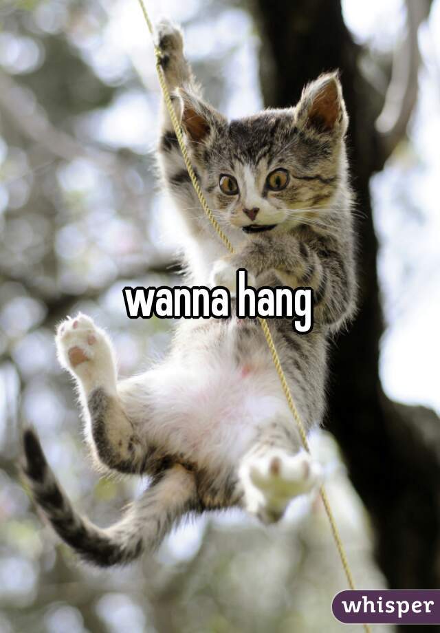 wanna hang