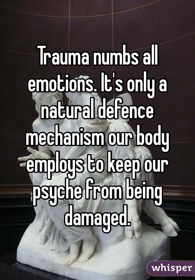 Trauma numbs all emotions. It's only a natural defence  mechanism our body employs to keep our psyche from being damaged. 
