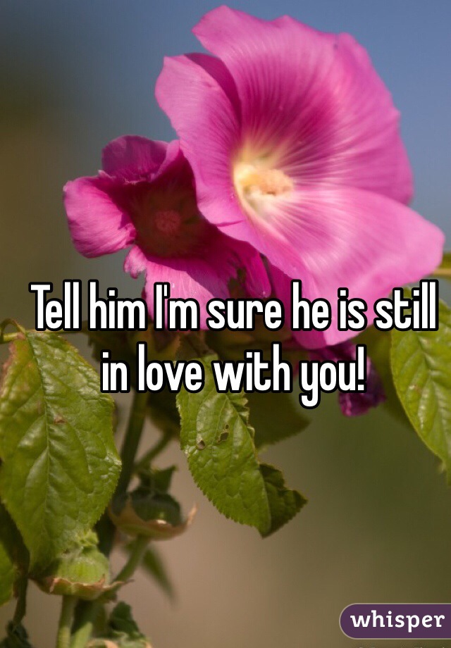 Tell him I'm sure he is still in love with you! 