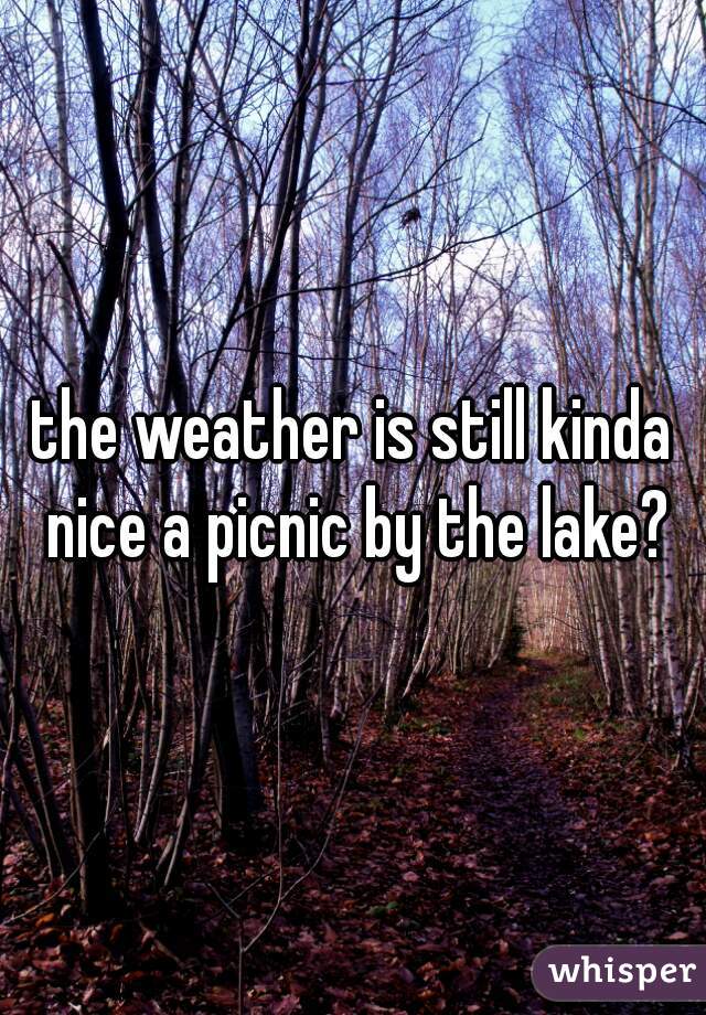 the weather is still kinda nice a picnic by the lake?