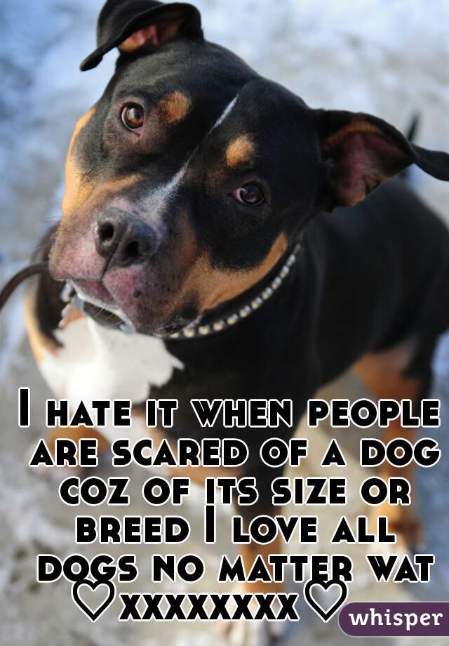 I hate it when people are scared of a dog coz of its size or breed I love all dogs no matter wat ♡xxxxxxxx♡    