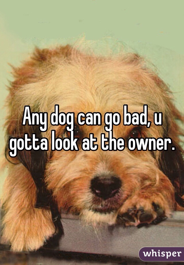 Any dog can go bad, u gotta look at the owner.