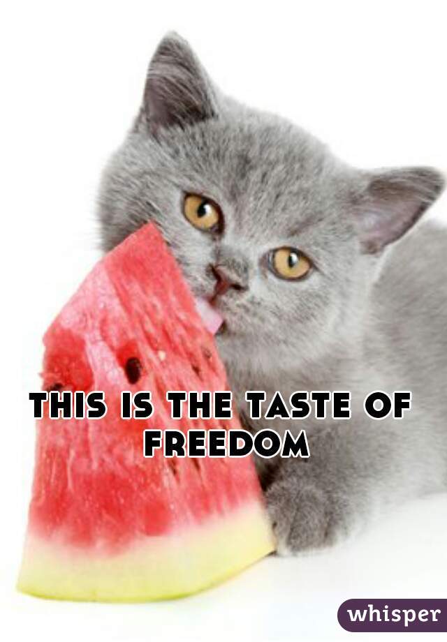 this is the taste of freedom